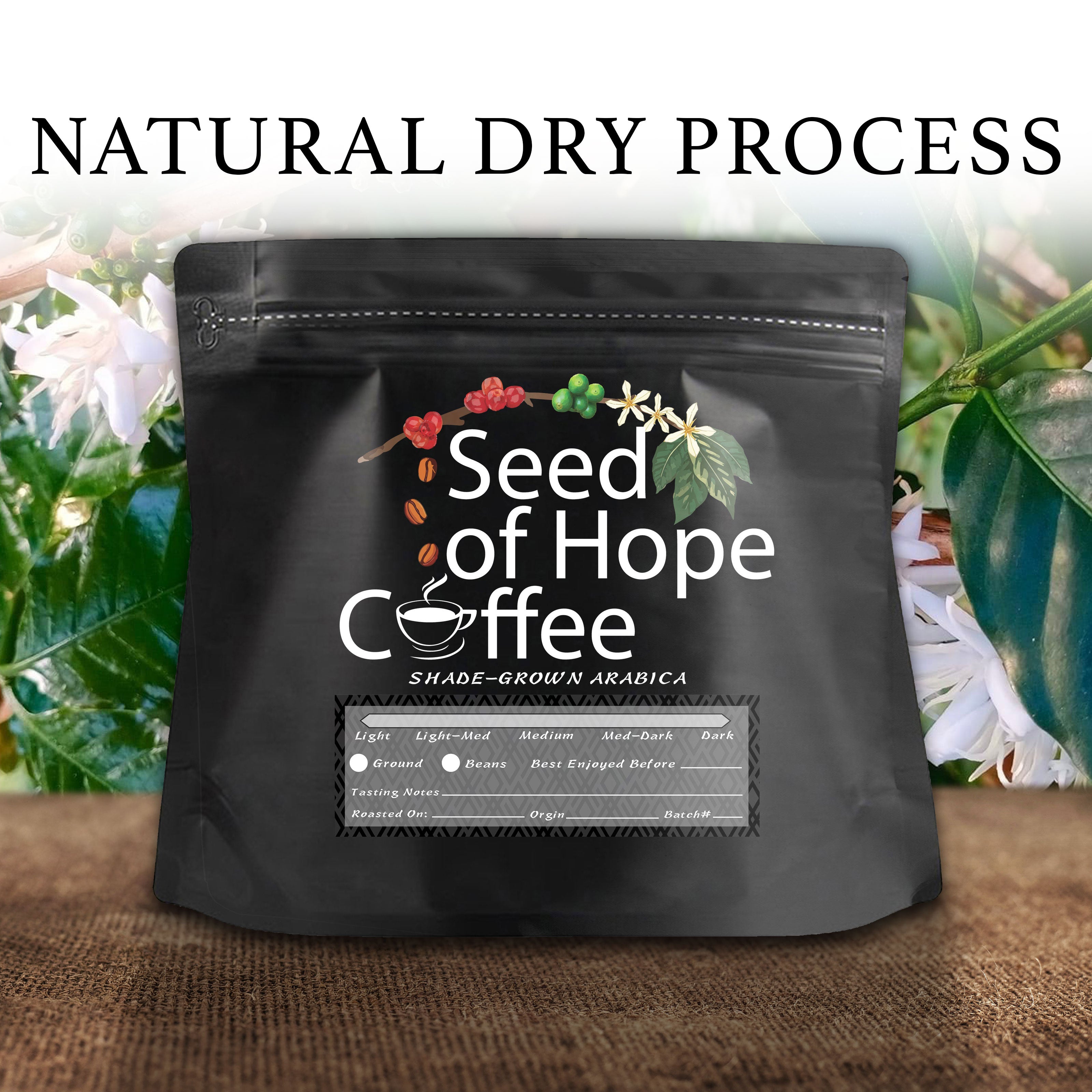 Surasak (Wit's) Natural/Dry process [Light-Medium Roast]